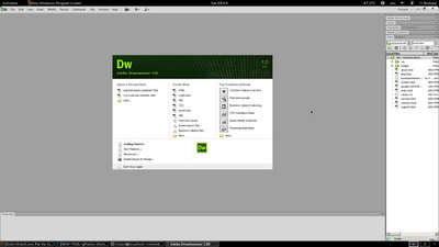 Dreamweaver-CS⁻Screen.jpg