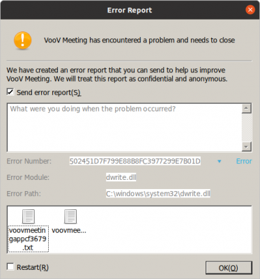 voovmeeting_error_report_window.png