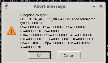 Software renderer, after reboot