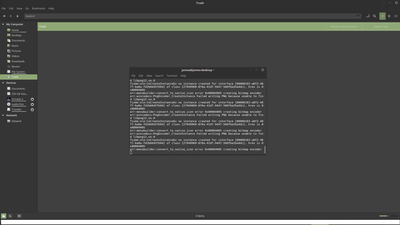 Shows winecfg small dialog window in the upper left corner of the screen.