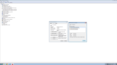 Bsim-Drivers del pendrive..png