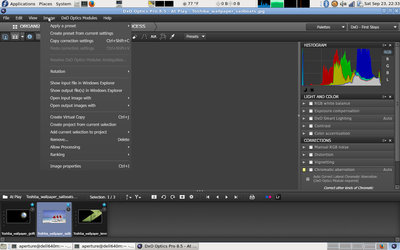 screen shot of DxO Optics Pro 8 x32 (almost) running on 2.16 Staging.